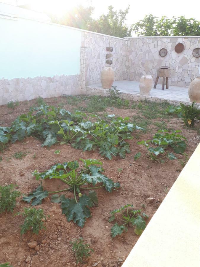 فندق Oltremare فيغناكاستريسي المظهر الخارجي الصورة